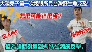 大陸兒子第一次親眼所見台灣野生魚泛濫!怎麼可能這麼多?但為啥時刻遭到媽媽強烈的反擊。