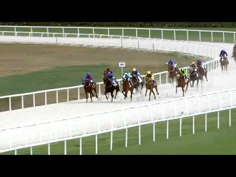 2019.04.28. 01. futam - NYERETLENEK VERSENYE (V.kat.)(szintetikus pálya)