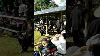 Download lagu lapangan adu domba #shorts #domba mp3 Download lagu lapangan adu domba #shorts #domba mp3