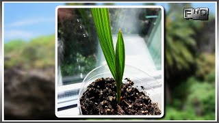 Как можно сделать куклу из пластиковой бутылки 333 Как можно сделать куклу из пластиковой бутылки 104