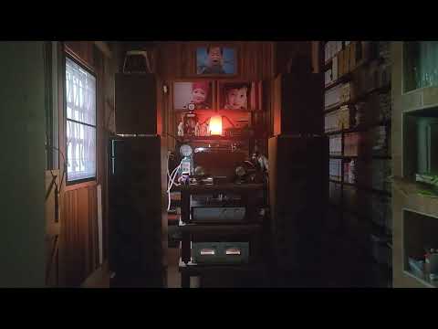 Sukie presents Monkey Disco Boy : side 1 on vinyl