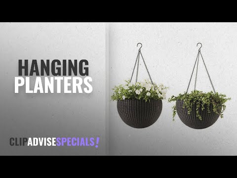 download lagu mp3 mp4 Anderson Pots For Sale, download lagu Anderson Pots For Sale gratis, unduh video klip Anderson Pots For Sale