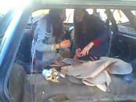 Rabování počesku:)