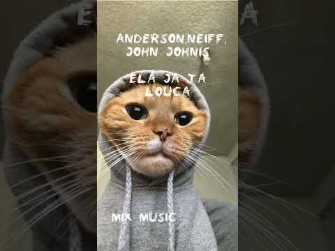Anderson,Neiff,John Johnis.Ela ja ta louca[tiktok trend] mix music