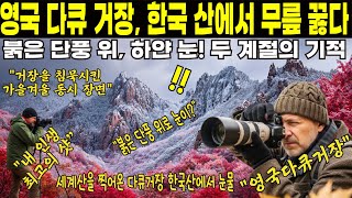 [Трогательная история из-за рубежа] Британский мастер документального кино был поражен чудом двух сезонов Сораксана.