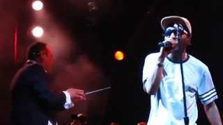 Deltron 3030- Positive Contact @ Prospect Park (Brooklyn), NYC