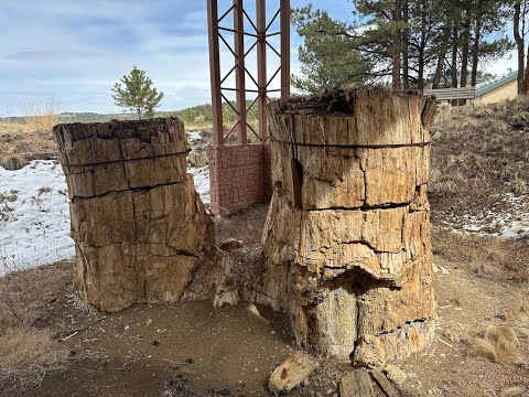 Odin - Odin's Names Revealed: A Deeper Look