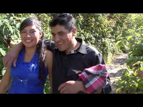 SOÑAR A TU LADO - LOS NUEVOS IDOLOS DEL NORTE