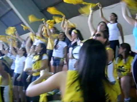 Torcida Farma Puccamp