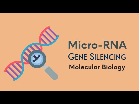 miRNA | gene silencing | Molecular biology
