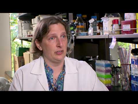 Dr. Sasha Stanton: Auto-antibodies in breast cancer