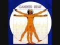 CANNED HEAT -  Strut My Stuff