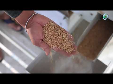 Flour Mill Plant
