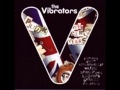 Vibrators-"Into the valley" Skids cover