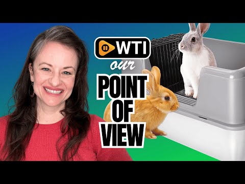 XL Rabbit Litter Box - WTI product video review