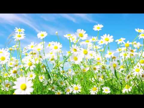 Thể hiện bởi Long Hoàng Lê