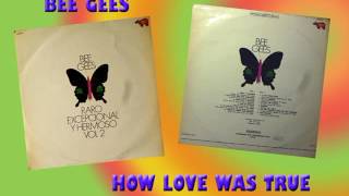 The Bee Gees 'How Love Was True