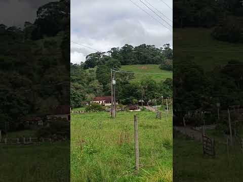 Fazenda limoeiro município de Tombos.