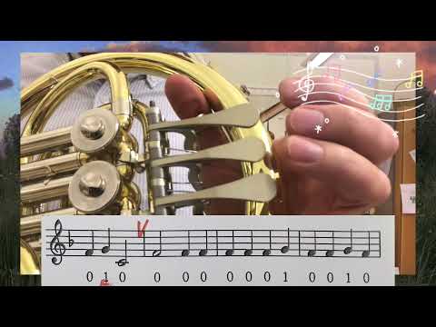 Ode to Joy - valthorn