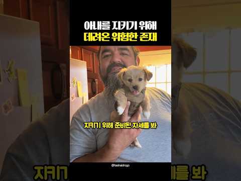 아내를 지키기 위해 데려온 위험한 존재
