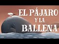 El Pájaro Y La Ballena The Bird And The Whale In Spanish With English Subtitles