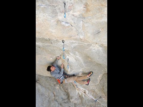 Peruvian Necktie 15b uncut