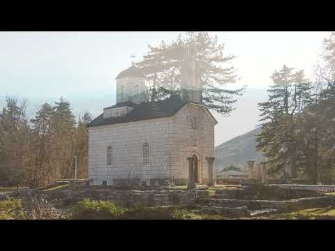 Igor Djurović - Pjesma Štitarima