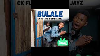 Ck future & mark jayz - bulale