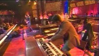 The Wallflowers - The Beautiful Side of Somewhere Live 2005