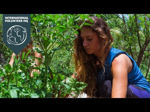 Volunteer in Mexico with IVHQ