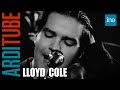 Lloyd Cole "She's a girl and I'm a man" | INA Arditube