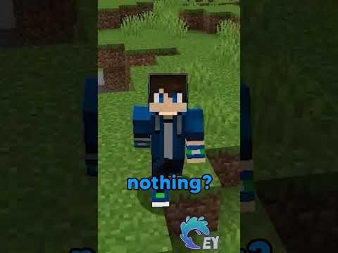 Minecraft, But Any Effect You Comment, I Get!