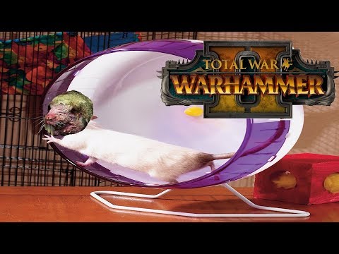 THE DOOMWHEEL INQUISITION | Total War Warhammer 2 Multiplayer Quick Battle & Community Cast