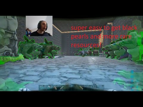 Ark Survival Evolved: The Easiest Way To Get Black Pearls! Taming A Gacha Army