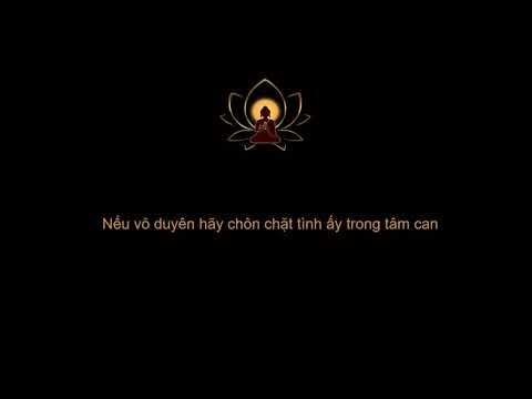Ngộ   悟   Tân thiếu lâm tự 2011 OST   Andy Lau Lưu Đức Hoa