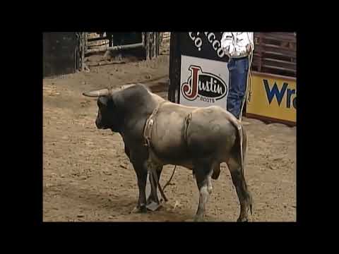 Winchester bucks Beau Lindley - 99 PBR Bakersfield