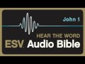 ESV Audio Bible, Gospel of John, Chapter 1