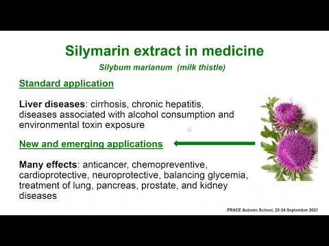Ligand- and structure-based studies of natural flavonoids from the plant Silybum marianum