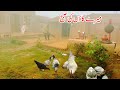 Mere Gaon Ki Subah I Pakistan Village Life I Mud House I Village Women Morning Routine