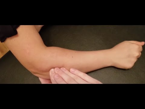 Muscle Palpation - Supinator