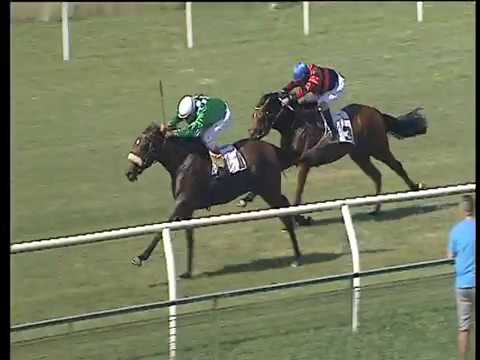 Galoppo 21/06/2017 - 1ª corsa