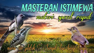 Download lagu Masteran burung lombahan istimewa ❗ murai air platuk dan brinji tungir 🔥 mp3 Download lagu Masteran burung lombahan istimewa ❗ murai air platuk dan brinji tungir 🔥 mp3