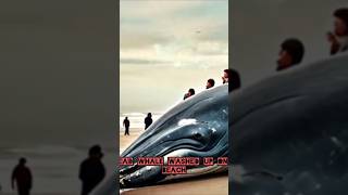 When a Whale Exploded in Public… and Everyone Ran 🐋💥 #shorts  #whale  #weird