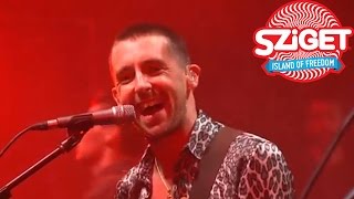 Miles Kane Live - Don't Forget Who You Are @ Sziget 2014