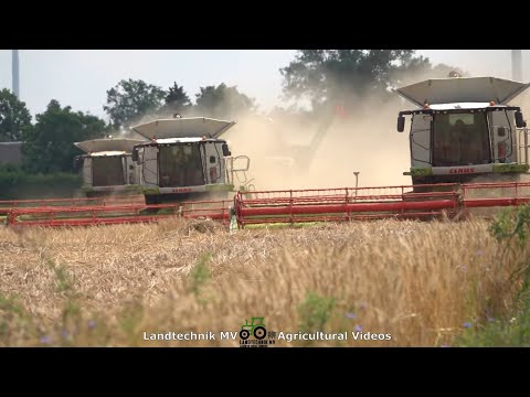 Claas - Fendt - MAN / Getreideernte - Grain Harvest  2021