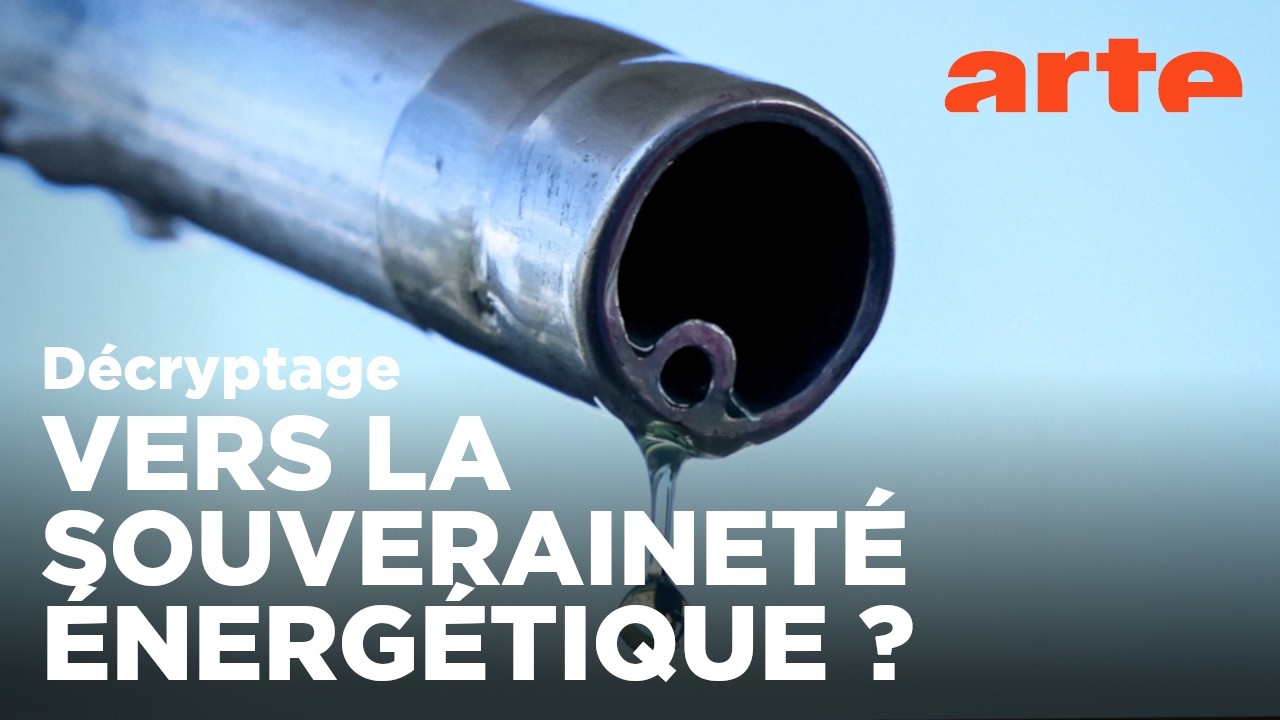 Pétrole : se sevrer par la crise ? | Décryptage | ARTE