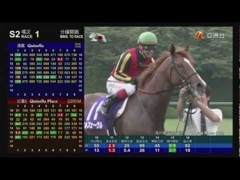 2012 寶塚紀念 黃金巨匠