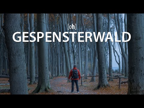Der Gespensterwald an der Ostsee - Landschaftsfotografie mit Nikon Z7