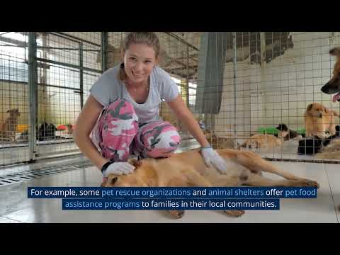 Free Pet Food for Low income Families