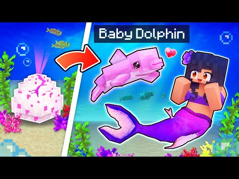 🐬 ADOPTED Baby Dolphins As MERMAIDS! 🧜‍♀️